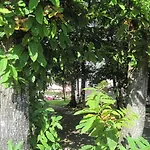 Gioia Garden Hotel