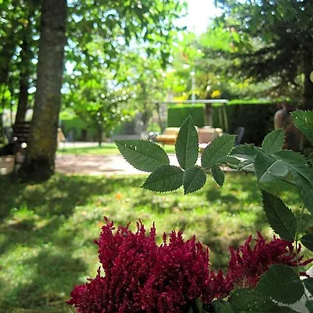 Gioia Garden Hotell