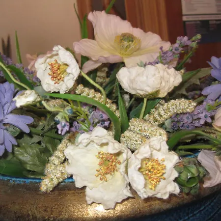 Hotel Gioia Garden Fiuggi